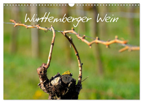 Württemberger Wein 2026 (Wandkalender 2026 DIN A3 quer), CALVENDO Monatskalender
