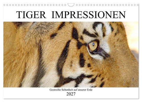 TIGER IMPRESSIONEN Gestreifte Seltenheit auf unserer Erde (Wandkalender 2027 DIN A3 quer), CALVENDO Monatskalender