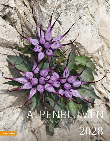 Alpenblumen Kalender 2028