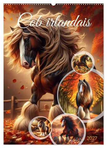 Cob irlandais (Calendrier mural 2027 DIN A2 horizontal), CALVENDO calendrier mensuel