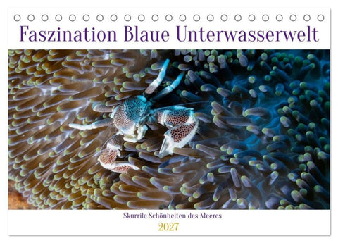Faszination blaue Unterwasserwelt (Tischkalender 2027 DIN A5 quer), CALVENDO Monatskalender