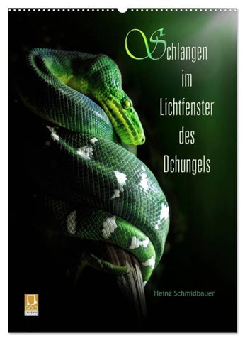 Schlangen im Lichtfenster des Dschungels (Wandkalender 2027 DIN A2 hoch), CALVENDO Monatskalender