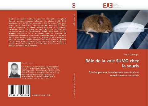 Rôle de la voie SUMO chez la souris