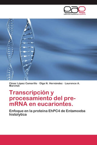 Transcripción y procesamiento del pre-mRNA en eucariontes.
