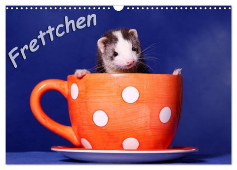 Frettchen - Ferrets (Wandkalender 2027 DIN A3 quer), CALVENDO Monatskalender