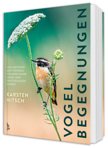 Vogelbegegnungen