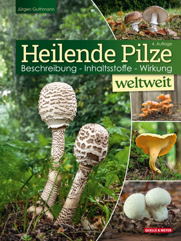 Heilende Pilze weltweit