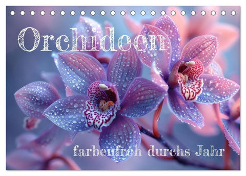 Orchideen - farbenfroh durchs Jahr (Tischkalender 2027 DIN A5 quer), CALVENDO Monatskalender