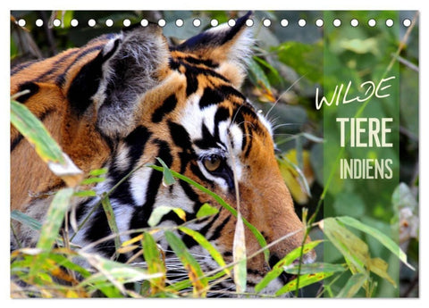 Wilde Tiere Indiens (Tischkalender 2027 DIN A5 quer), CALVENDO Monatskalender