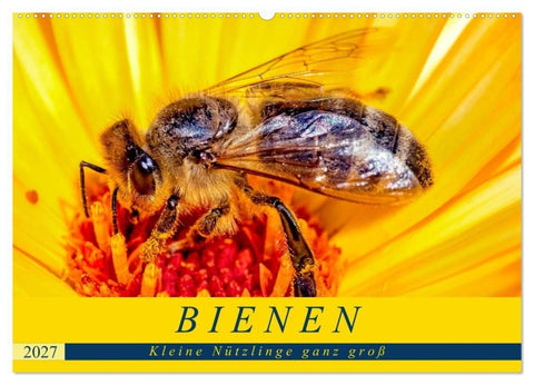 BIENEN - Kleine Nützlinge ganz groß (Wandkalender 2027 DIN A2 quer), CALVENDO Monatskalender