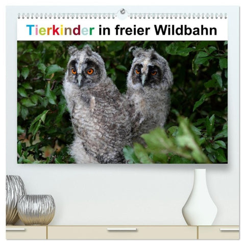 Tierkinder in freier Wildbahn (hochwertiger Premium Wandkalender 2027 DIN A2 quer), Kunstdruck in Hochglanz