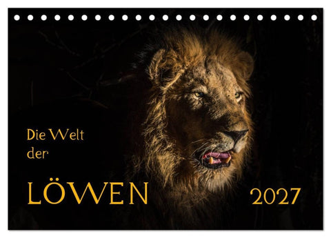 Die Welt der Löwen (Tischkalender 2027 DIN A5 quer), CALVENDO Monatskalender