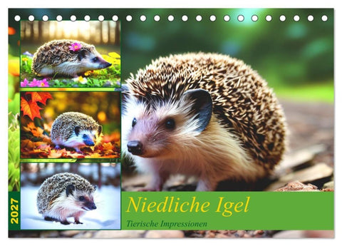 Niedliche Igel (Tischkalender 2027 DIN A5 quer), CALVENDO Monatskalender