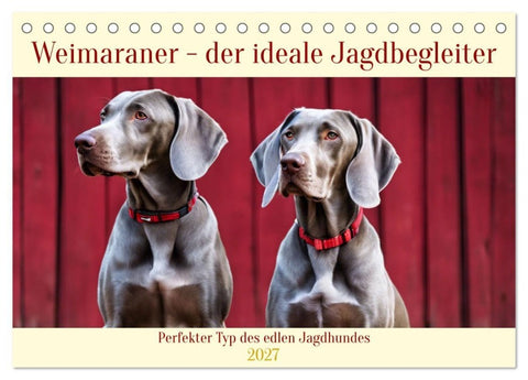Weimaraner - der ideale Jagdbegleiter (Tischkalender 2027 DIN A5 quer), CALVENDO Monatskalender