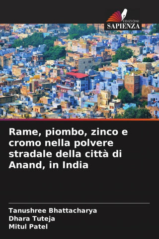 Rame, piombo, zinco e cromo nella polvere stradale della città di Anand, in India