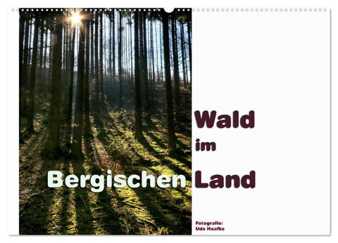 Wald im Bergischen Land 2026 (Wandkalender 2026 DIN A2 quer), CALVENDO Monatskalender