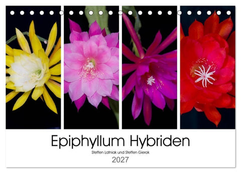 Epiphyllum-Hybriden (Tischkalender 2027 DIN A5 quer), CALVENDO Monatskalender