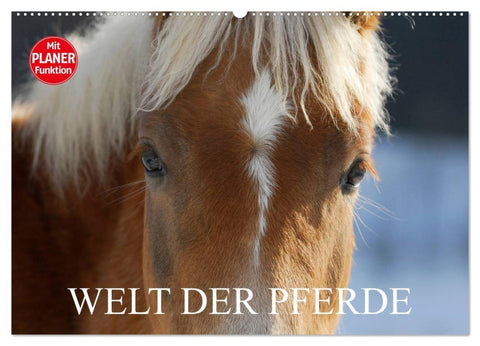 Welt der Pferde (Wandkalender 2026 DIN A2 quer), CALVENDO Monatskalender