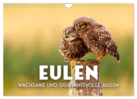 Eulen - Wachsame und geheimnisvolle Augen (Wandkalender 2027 DIN A4 quer), CALVENDO Monatskalender