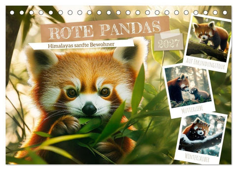 Rote Pandas - Himalayas sanfte Bewohner (Tischkalender 2027 DIN A5 quer), CALVENDO Monatskalender