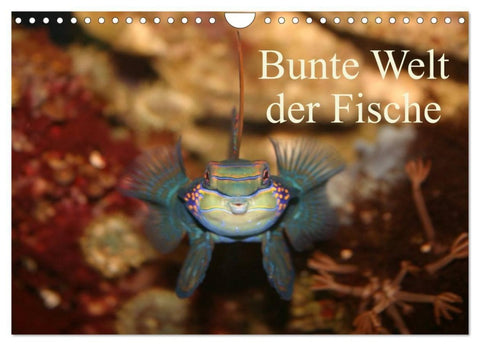 Bunte Welt der Fische (Wandkalender 2027 DIN A4 quer), CALVENDO Monatskalender