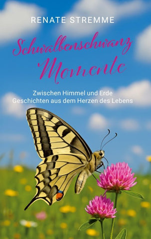 Schwalbenschwanz Momente