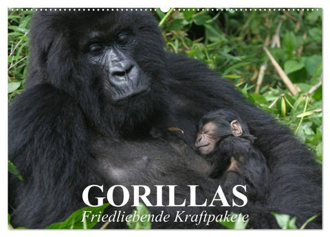 Gorillas. Friedliebende Kraftpakete (Wandkalender 2027 DIN A2 quer), CALVENDO Monatskalender