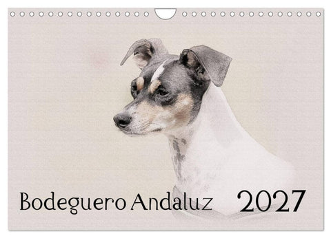 Bodeguero Andaluz 2027 (Wandkalender 2027 DIN A4 quer), CALVENDO Monatskalender