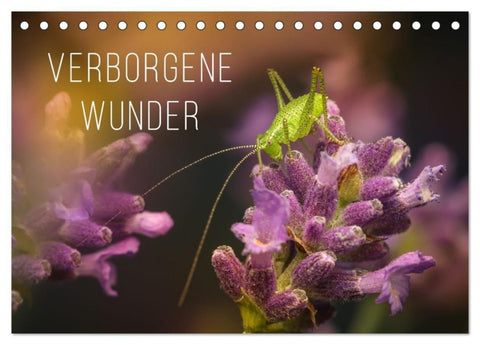 Verborgene Wunder (Tischkalender 2027 DIN A5 quer), CALVENDO Monatskalender