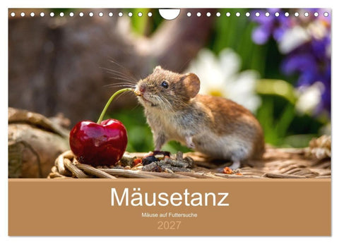 Mäusetanz (Wandkalender 2027 DIN A4 quer), CALVENDO Monatskalender