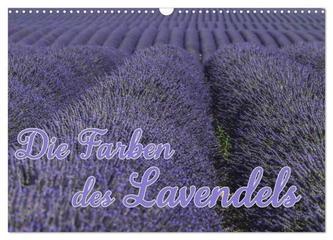 Die Farbe des Lavendels (Wandkalender 2026 DIN A3 quer), CALVENDO Monatskalender