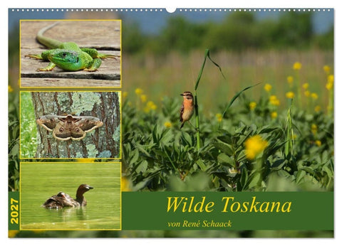 Wilde Toskana - von René Schaack (Wandkalender 2027 DIN A2 quer), CALVENDO Monatskalender