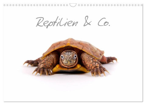 Reptilien & Co. (Wandkalender 2027 DIN A3 quer), CALVENDO Monatskalender