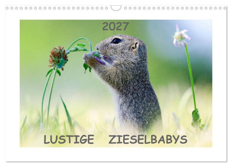 Lustige Zieselbabys (Wandkalender 2027 DIN A3 quer), CALVENDO Monatskalender