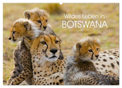 Wildes Leben in Botswana (Wandkalender 2026 DIN A2 quer), CALVENDO Monatskalender
