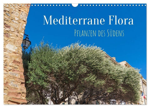 Mediterrane Flora - Pflanzen des Südens (Wandkalender 2027 DIN A3 quer), CALVENDO Monatskalender