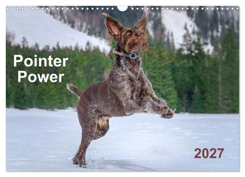 Pointer Power (Wall Calendar 2027 DIN A3 landscape), CALVENDO 12 Month Wall Calendar