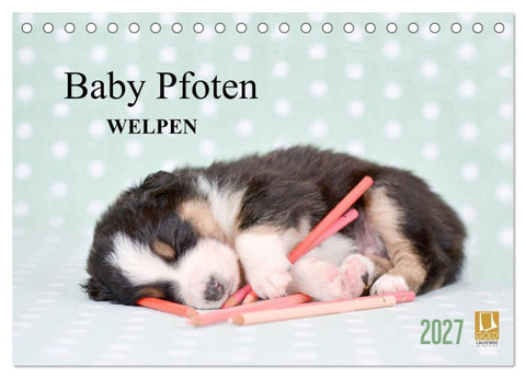 Baby Pfoten (Tischkalender 2027 DIN A5 quer), CALVENDO Monatskalender