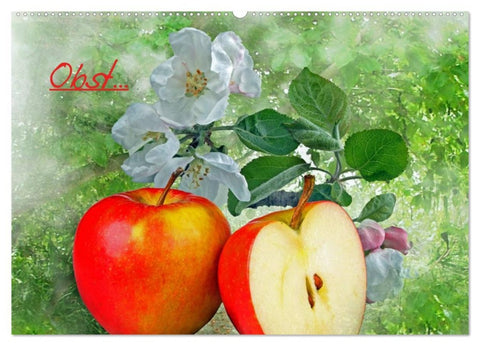 Obst (Wandkalender 2026 DIN A2 quer), CALVENDO Monatskalender