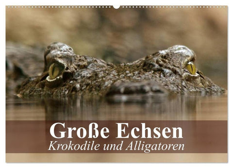 Große Echsen. Krokodile und Alligatoren (Wandkalender 2027 DIN A2 quer), CALVENDO Monatskalender