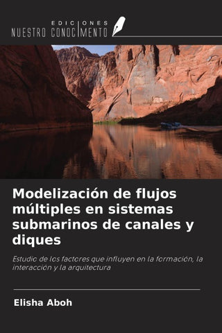 Modelización de flujos múltiples en sistemas submarinos de canales y diques
