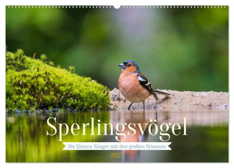 Sperlingsvögel - Die kleinen Sänger mit den großen Stimmen (Wandkalender 2027 DIN A2 quer), CALVENDO Monatskalender