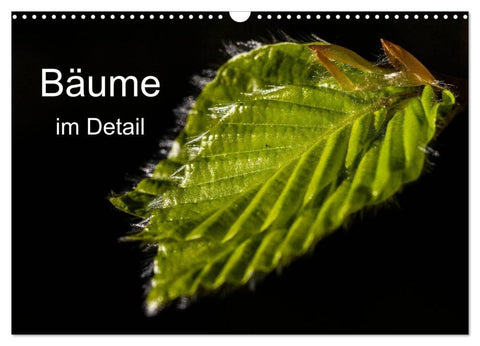 Bäume im Detail (Wandkalender 2027 DIN A3 quer), CALVENDO Monatskalender