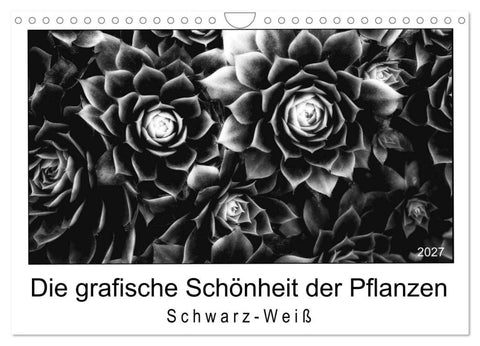Die grafische Schönheit der Pflanzen - Schwarz-Weiß (Wandkalender 2027 DIN A4 quer), CALVENDO Monatskalender