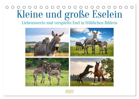Kleine und große Eselein (Tischkalender 2027 DIN A5 quer), CALVENDO Monatskalender