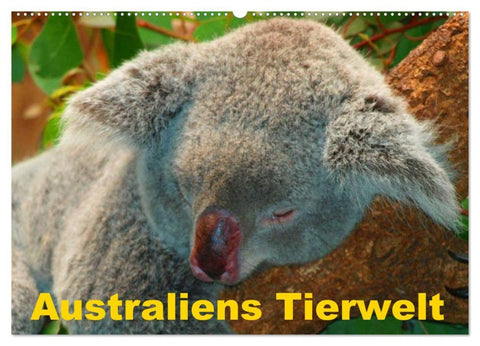 Australiens Tierwelt (Wandkalender 2026 DIN A2 quer), CALVENDO Monatskalender