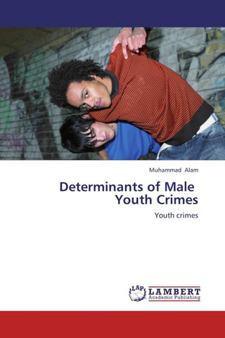 Determinants of Male Youth Crimes