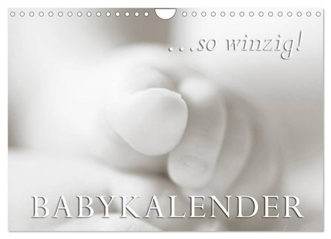 ...so winzig - Babykalender (Wandkalender 2027 DIN A4 quer), CALVENDO Monatskalender