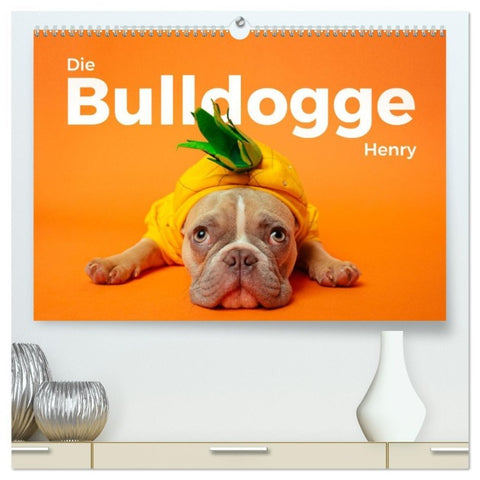 Die Bulldogge Henry (hochwertiger Premium Wandkalender 2026 DIN A2 quer), Kunstdruck in Hochglanz