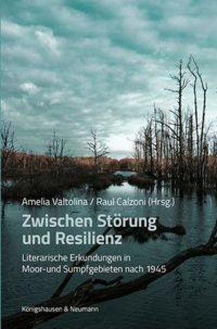 Zwischen Störung und Resilienz